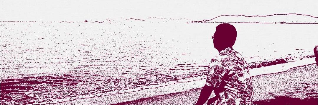 Niner banner