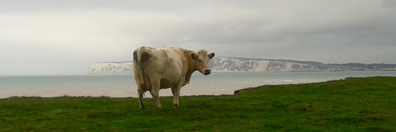iowldwa's profile banner image