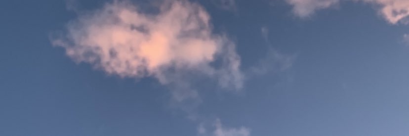 mollythemilf's profile banner image