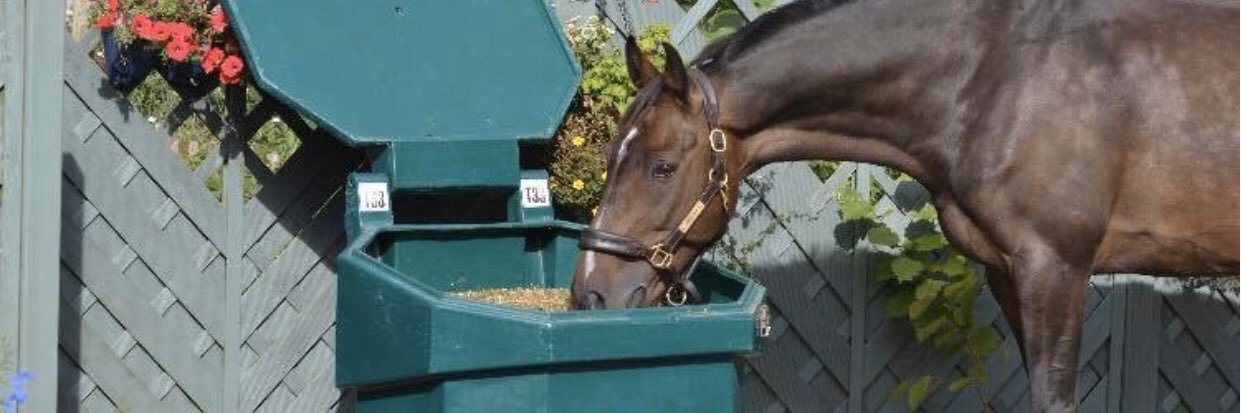 Chestnut Horse Feeds banner
