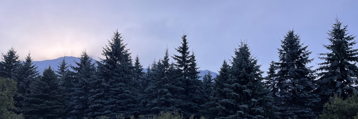 shr_sah's profile banner image