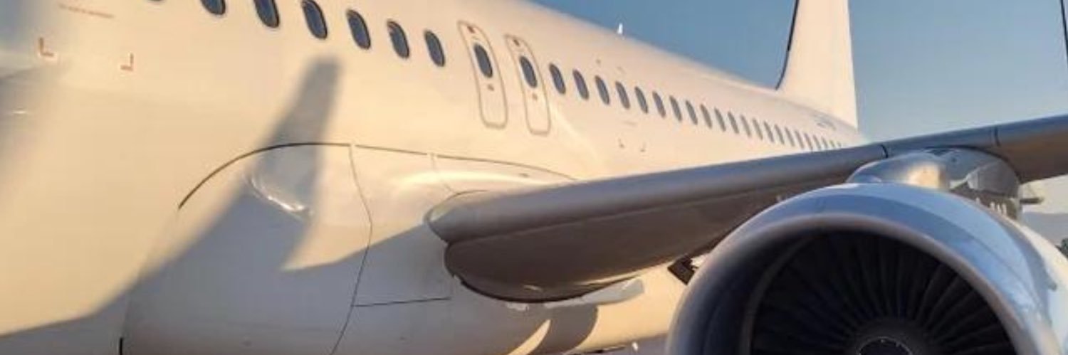 Pervert Airlines (Parody) banner