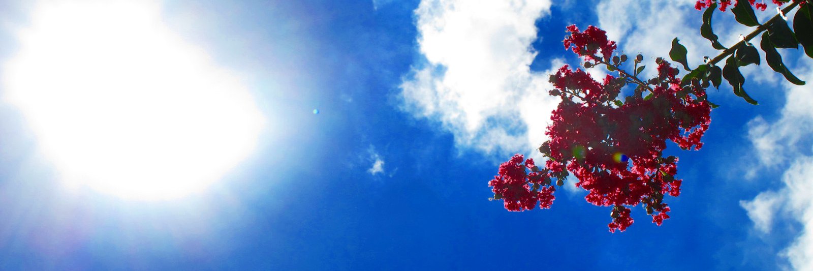 windytwon's profile banner image