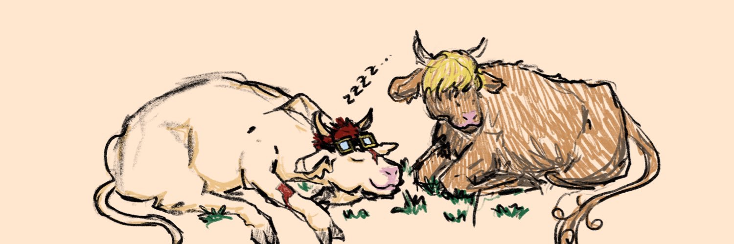 🏴‍☠️ Shape 🏴‍☠️ banner