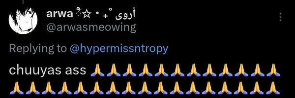 hypermissntropy Profile Banner