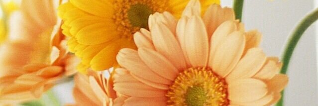 ま◎ banner