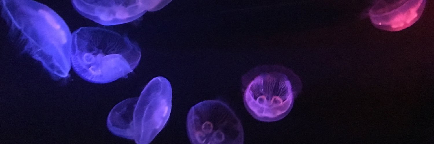 MOVED TO azurefur.bsky.social banner