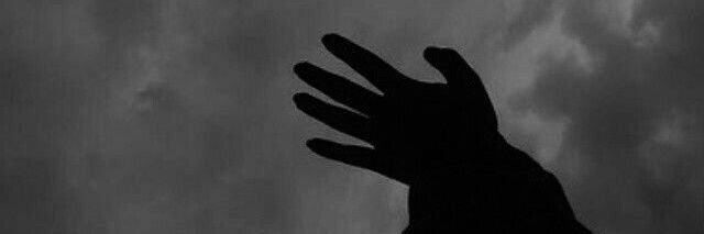 Alleana Fradella Cha banner