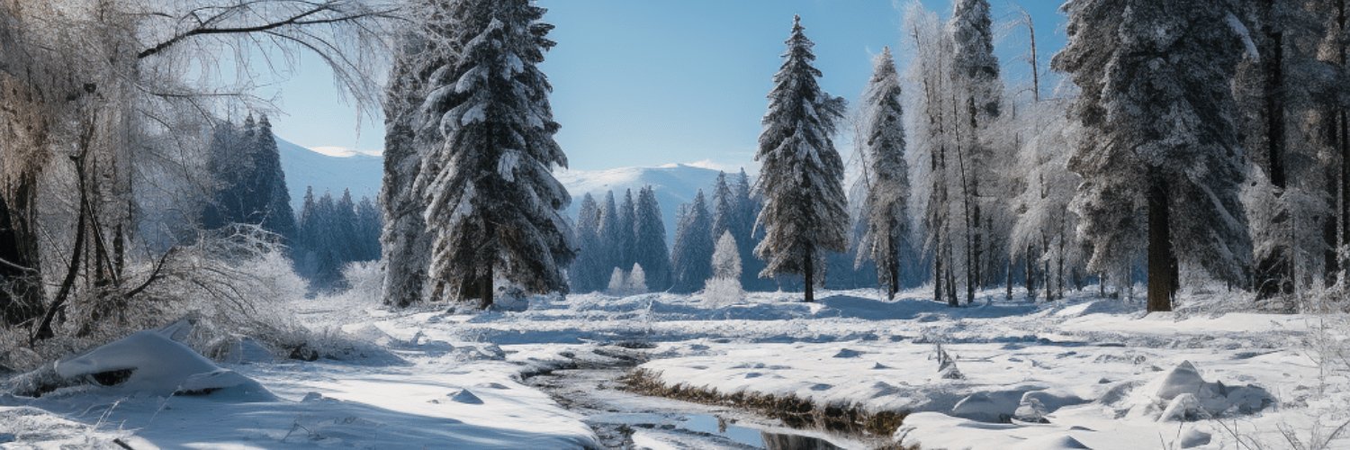 Book Your Own banner