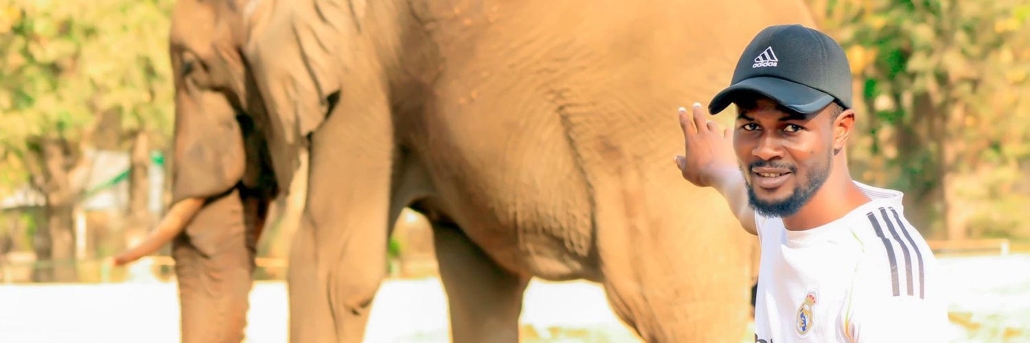 NIGERIA IS NORTH 🇳🇬 banner