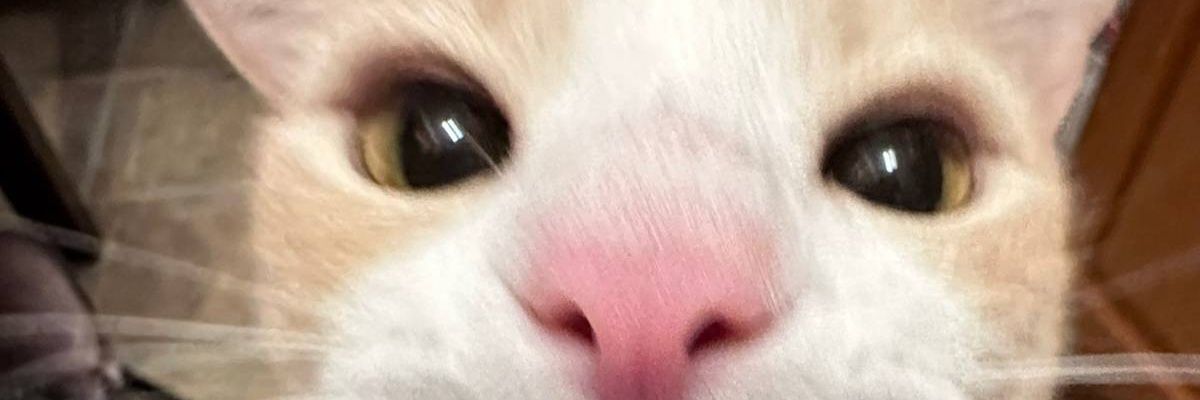 5okv8's profile banner image