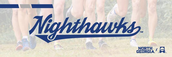 ungxctf Profile Banner
