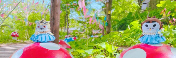 sonouao Profile Banner