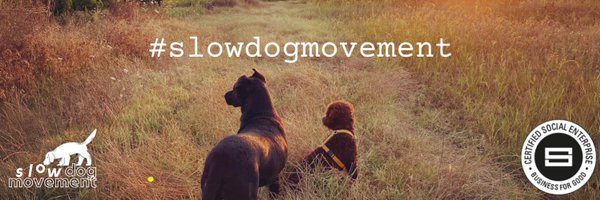 slowdogmovement Profile Banner