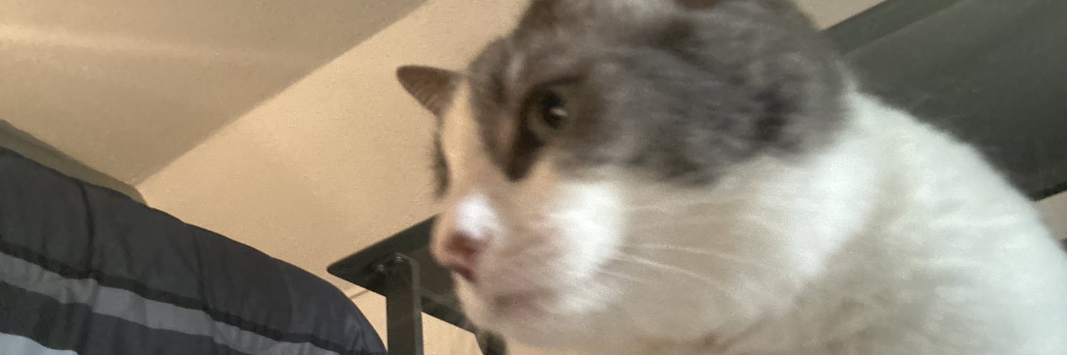 xCodizz's profile banner image