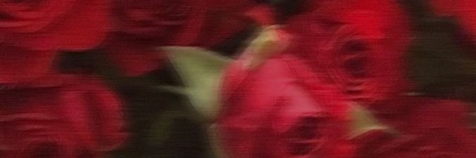 ruh30f's profile banner image