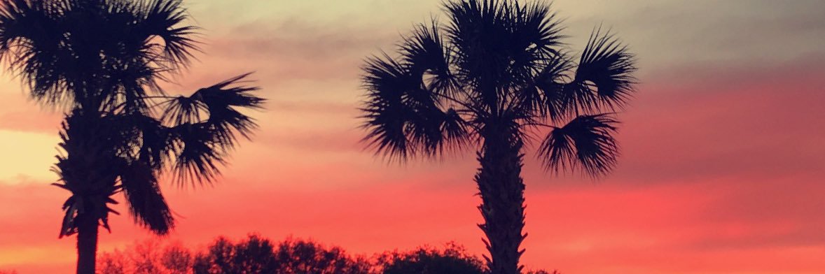 Lexi Steele banner