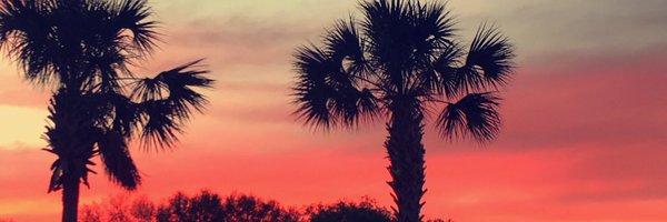 LexiSteele24 Profile Banner