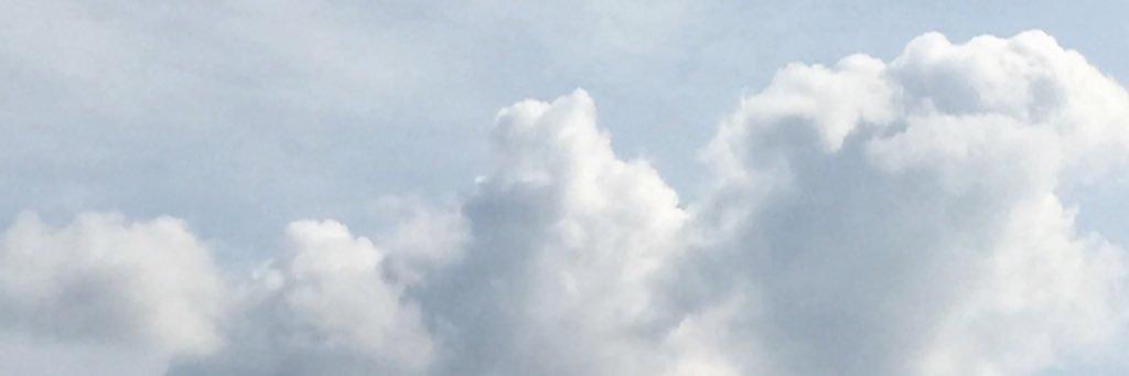 midaby's profile banner image