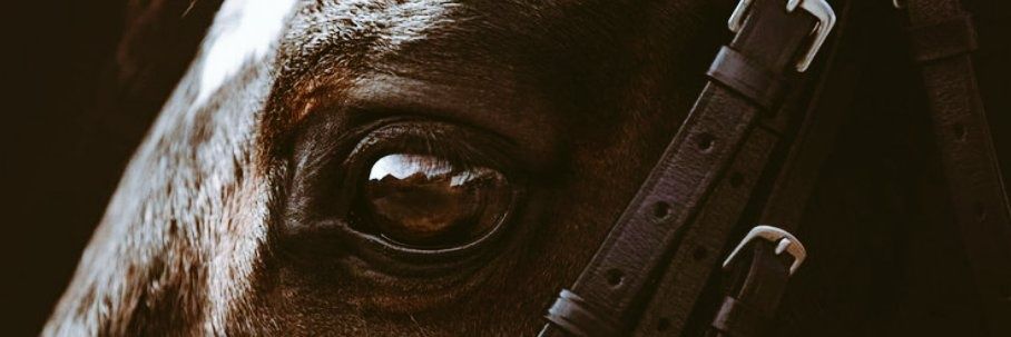 Utkushn41's profile banner image