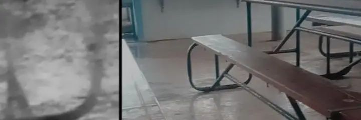 Mili_pmi's profile banner image