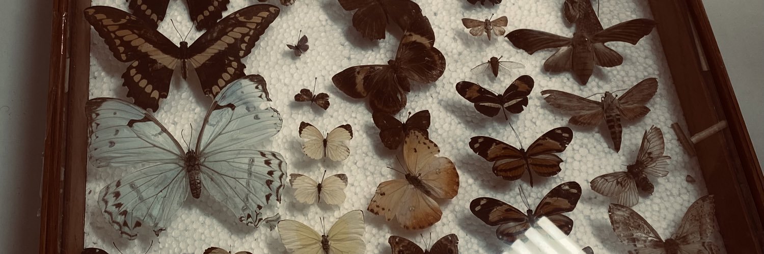 maria sem vergonha ✂️ banner