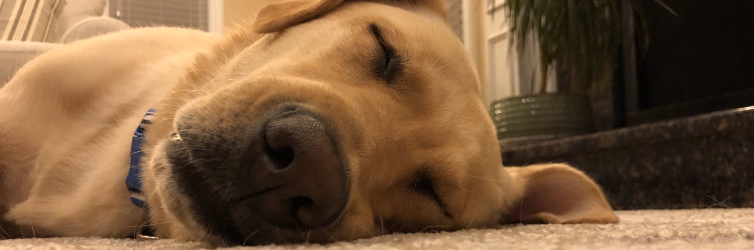 bitscav99's profile banner image