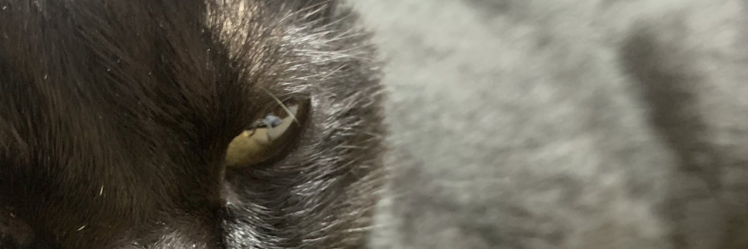 fu_plus2's profile banner image