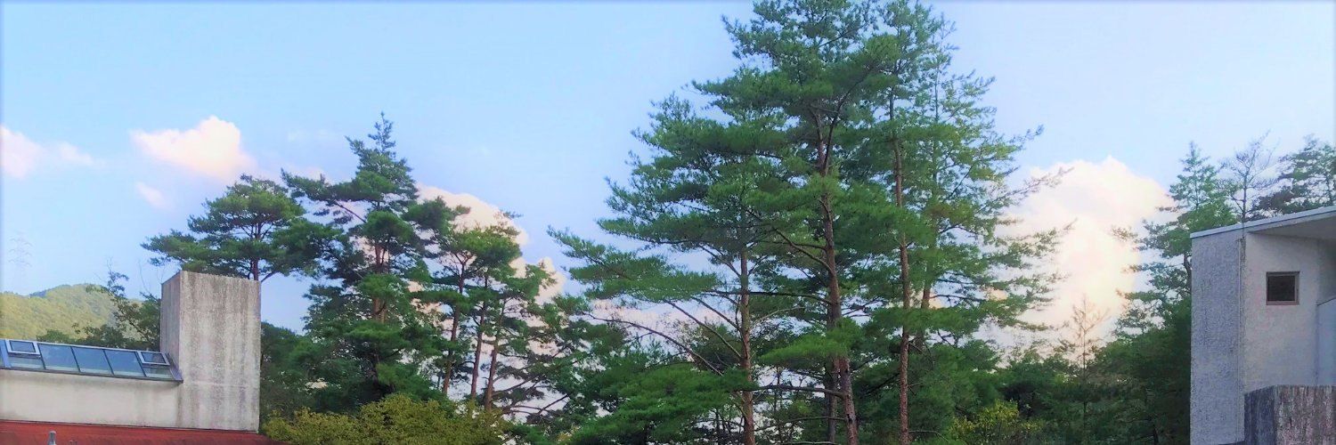 Wapparu's profile banner image
