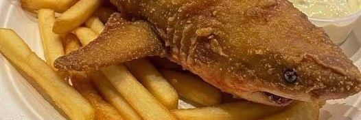 fox22095's profile banner image