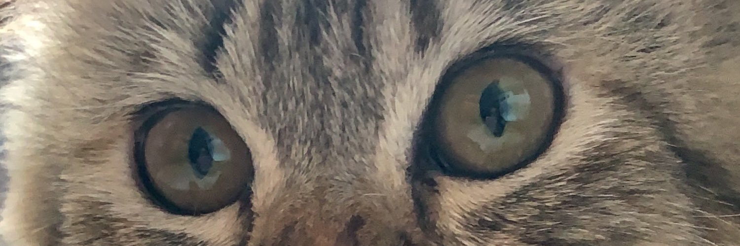 ardnhrrr's profile banner image