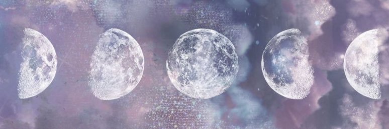 Abigail Briel banner