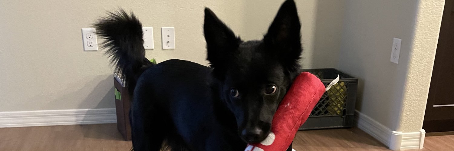 itwasntjake's profile banner image