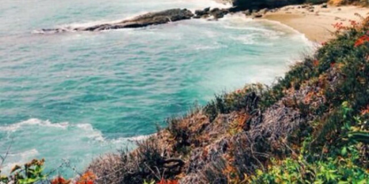 HentgesGrace's profile banner image
