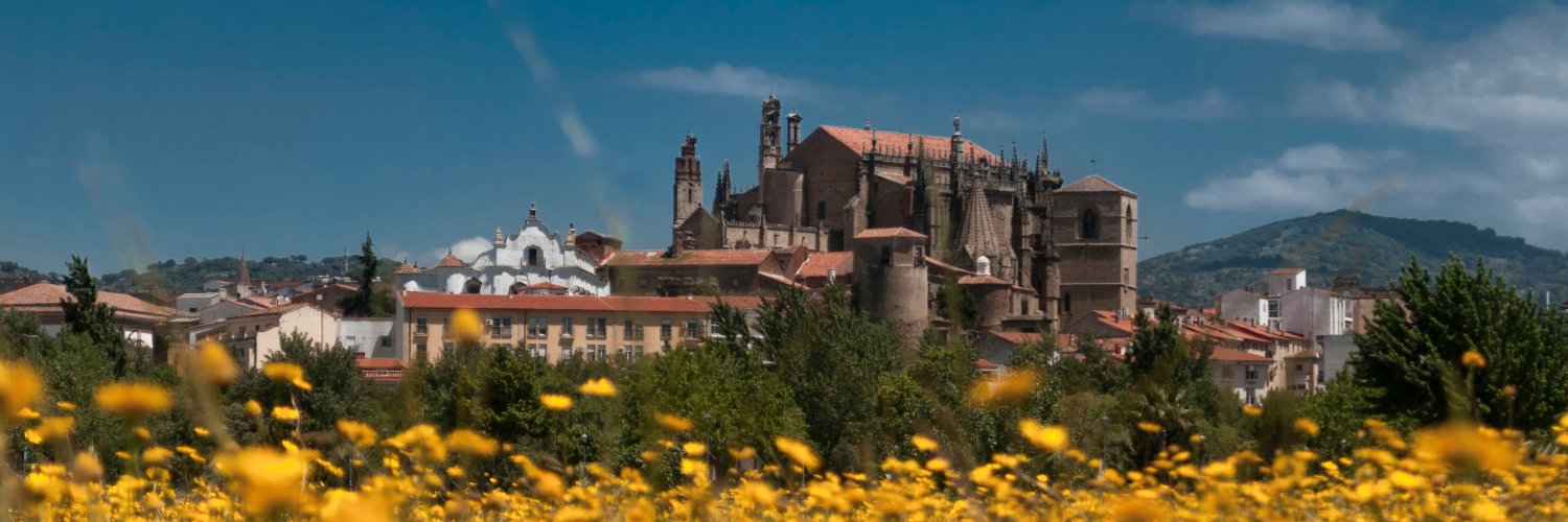 miguel coque duran banner