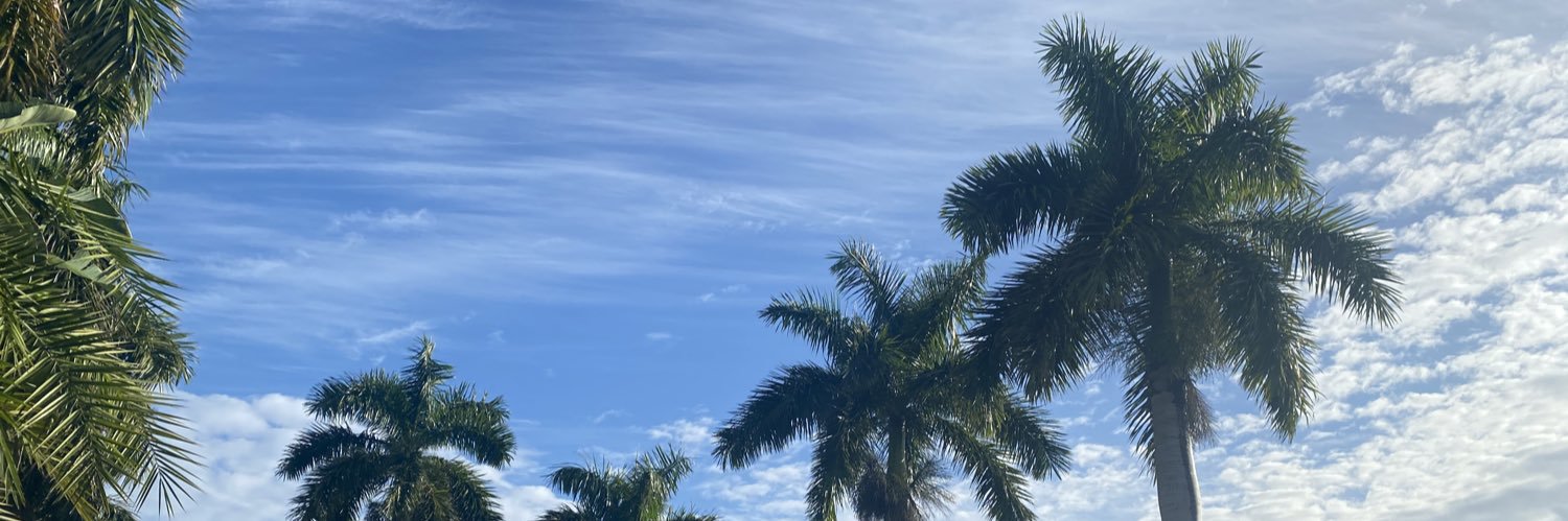 sillykayl's profile banner image