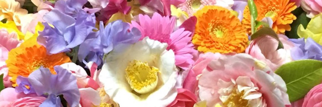 ikuko_GD's profile banner image
