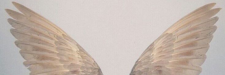 ✧mandy lane✧ banner