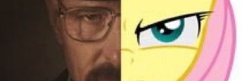 vimichii's profile banner image