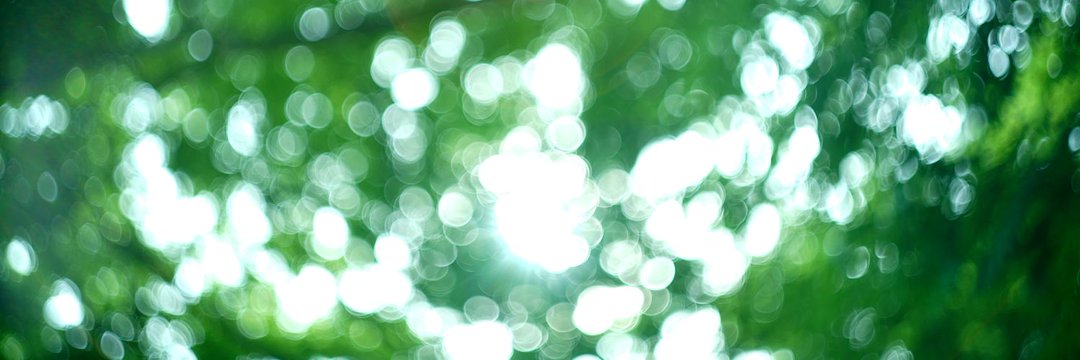 halo0420's profile banner image