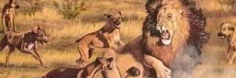 Sahib_zada313's profile banner image