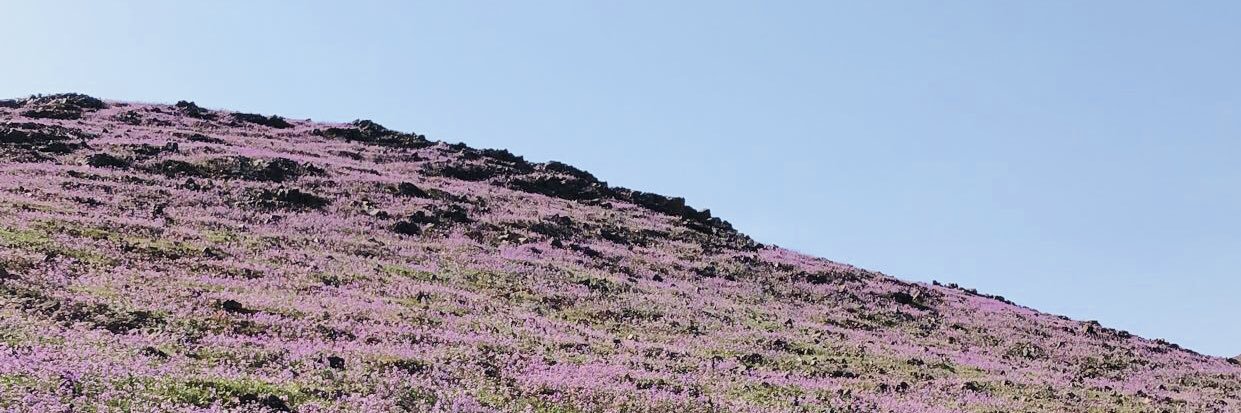 Mazen🐈‍⬛ banner