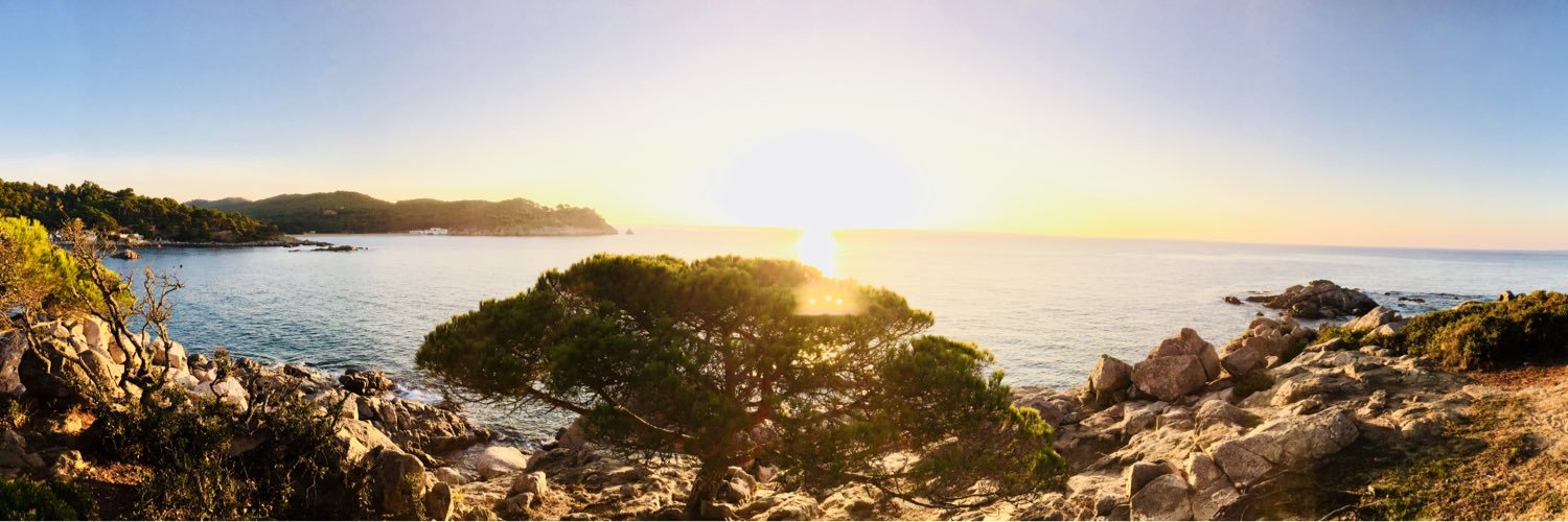 Samuel Corgne banner