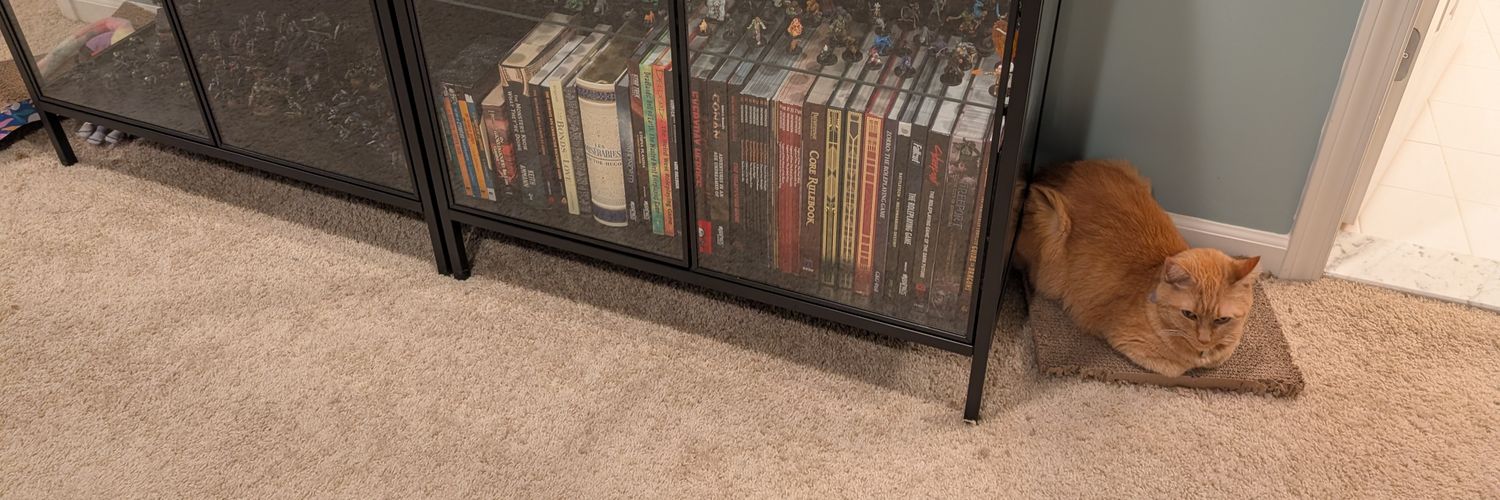 DerWolfGaming's profile banner image