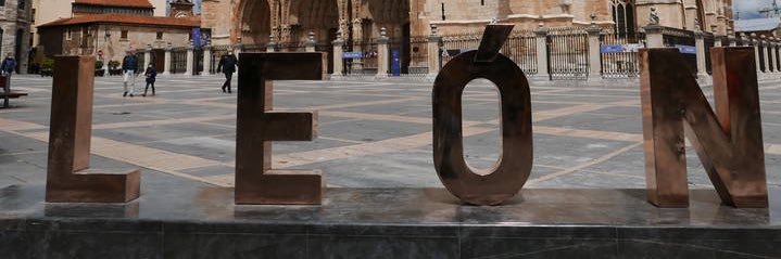 David Fernández 🇪🇸🦁 banner