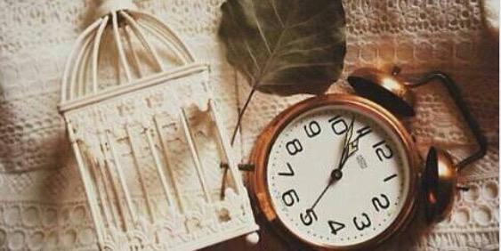 صفيه باوزير⚖ banner