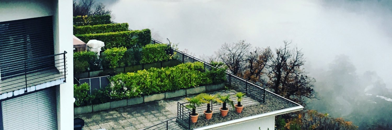MargoZaitseva's profile banner image