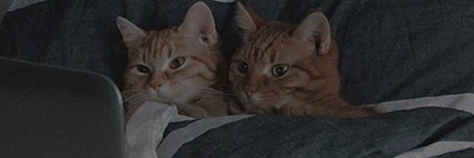 FromLisrel's profile banner image