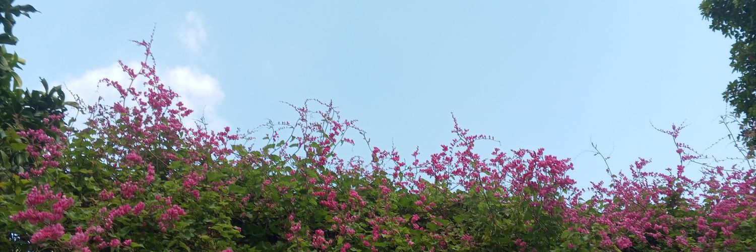 Flyflowr⁷ banner