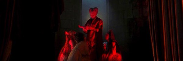 danielleloucamp Profile Banner